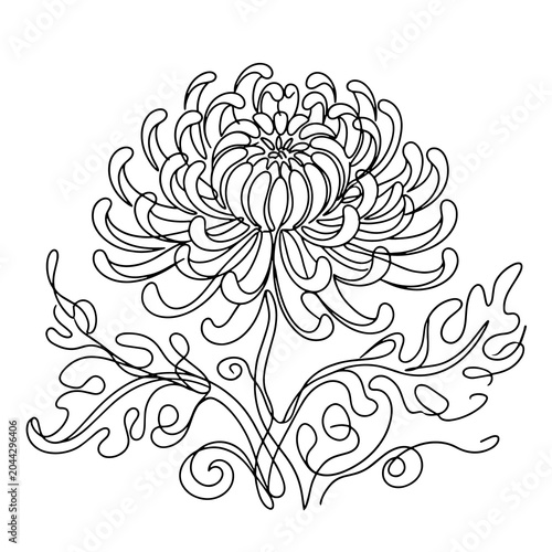 Continuous Line Art Chrysanthemum Flower, Minimalist Floral Vector Illustration
