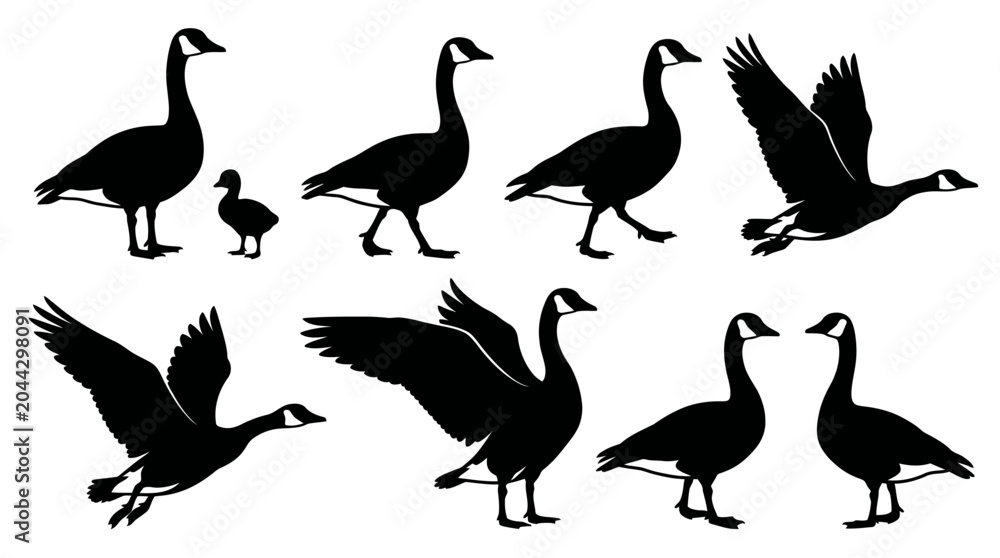 Fototapeta premium Goose silhouette vector set featuring seven geese and one gosling in standing, walking, and flying poses, bird wildlife illustration inspiration