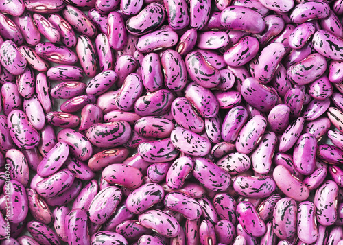Фотография Top view of vibrant purple speckled runner bean seeds of Prize Winner variety (Phaseolus coccineus)