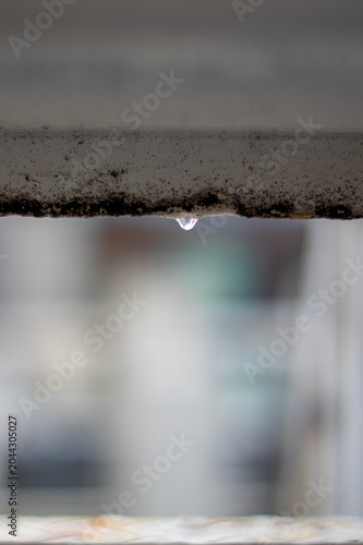 雨の朝