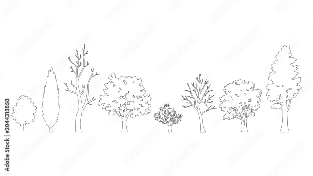 Fototapeta premium Set of outline vector forest tree line art, pine, oak, fir trees flat vector illustration collection.