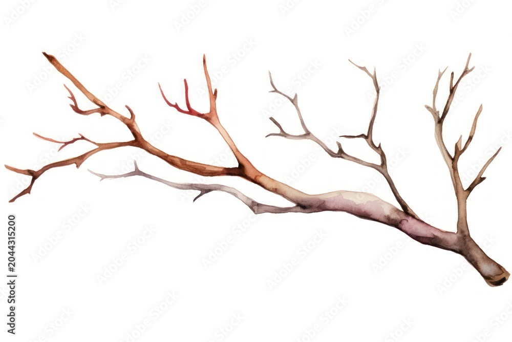 Fototapeta premium Branch antler white background tranquility.