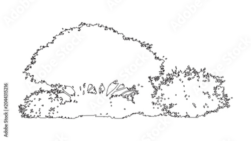 Minimalist outline drawing of garden shrubs and landscape trees for architectural sketching.
