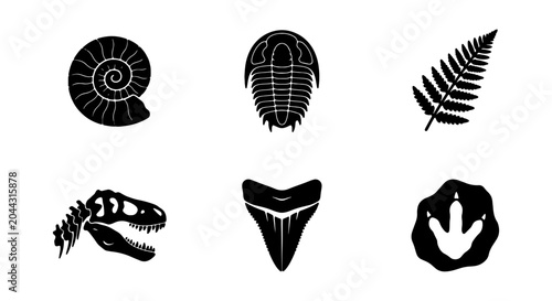 Bild auf Leinwand Fossil Icons Set: Ammonite, Trilobite, Fern, Dinosaur Skull, Shark Tooth, Footpr