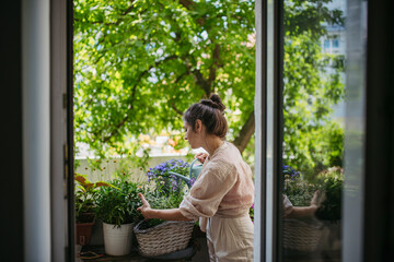 Woman watering flowers, taking care of plants on balcony