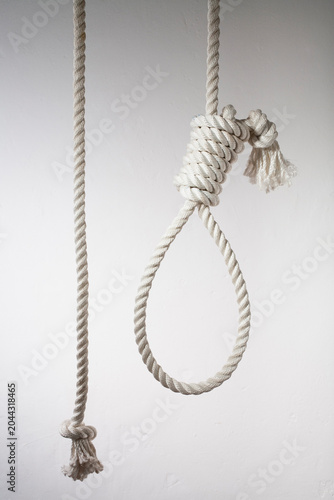 Hangman's noose, close up