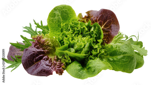 Canvastavla Fresh green and red lettuce leaves mix