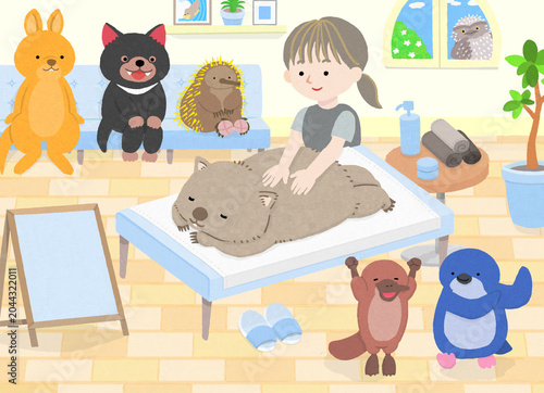 女性セラピストからマッサージを受けるウォンバットと、動物たち（タスマニアデビル、ハリモグラ、ワラビー、カモノハシ、リトルペンギン）	
