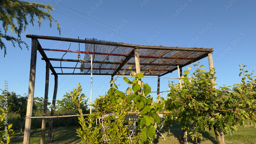 Fototapeta premium Rustic Wooden Pergola with Bamboo Roof in a Sunny Italian Vineyard