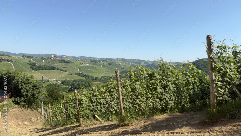 Fototapeta premium Rolling Vineyard Hills in the Italian Countryside Under Clear Blue Sky