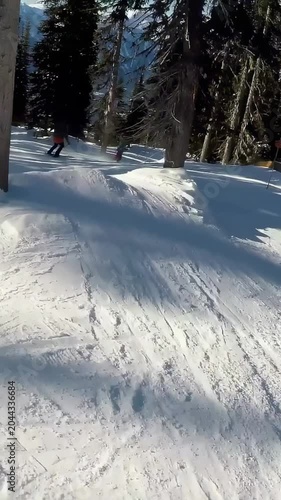 Vertical video: Camera following skier in pink jacket skiing groomed slope past trees, copy space