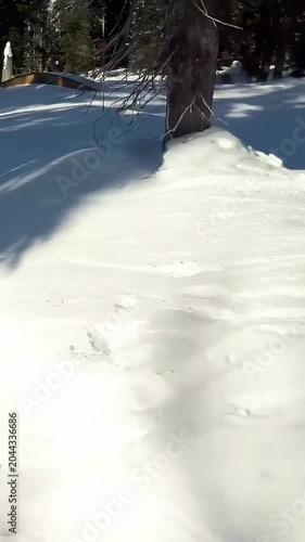 Vertical video: Camera following groomed run after orange-jacket skier carving, aiming box rail