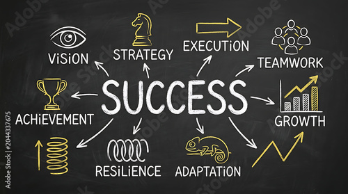 Visualizing the Path to Success Key Elements of Strategy, Vision, Execution, and Growth