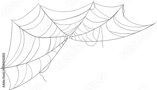 Halloween spider and cobweb, line net trap border, corner. Spooky scary decoration