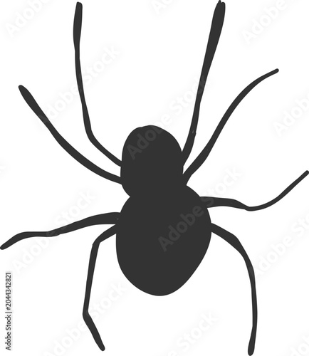Fotografie Halloween spider and cobweb, line net trap border, corner