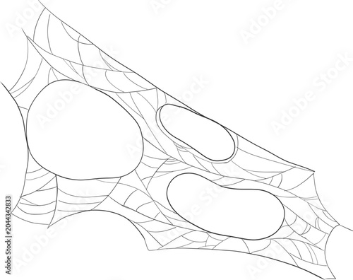 Foto Halloween spider and cobweb, line net trap border, corner