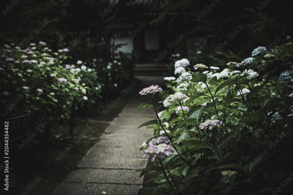 Φωτογραφία 梅雨の季節の本土寺　千葉県松戸市