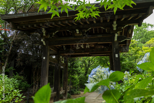 梅雨の季節の本土寺　千葉県松戸市