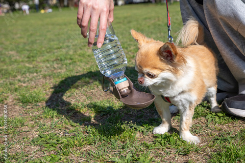 水を飲む犬・ペットウォーターボトル