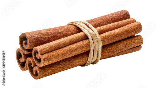 Bundle of Cinnamon Sticks Tied with Twine
