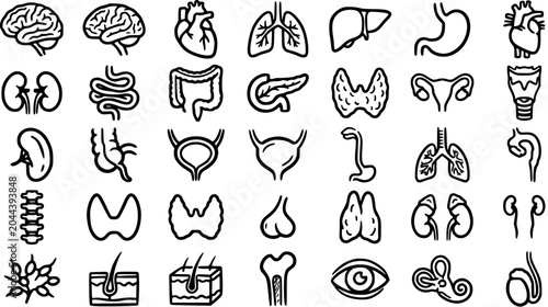 Bilde på lerret Medical Anatomy Line Art Icons: Human Organs and Body Parts, Black and White Vec
