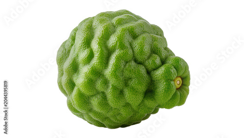 Canvas Print Green bumpy kaffir lime fruit with textured peel