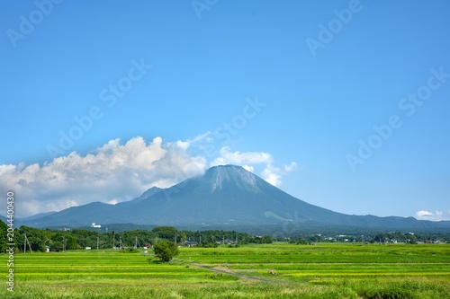 Photos 鳥取県伯耆町の広大な水田の向こうにそびえ立つ夏の伯耆大山と雄大な自然景観/Summer Mount Daisen Towering Beyond the Vas