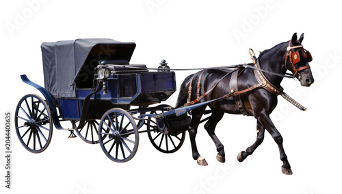 Foto Black horse pulling a vintage blue carriage with canopy