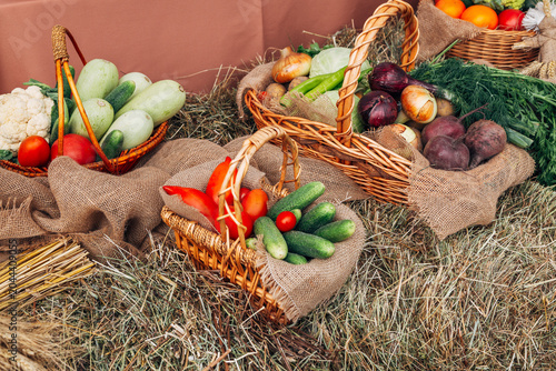 Basket with fresh colorful vegetables and salad on gray wood