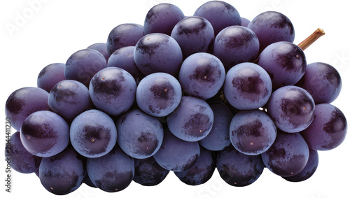 Quadro em tela Dark purple grapes cluster with stem