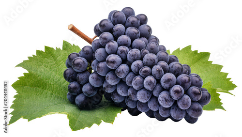 Bild auf Leinwand Dark purple grapes with green leaves and stem