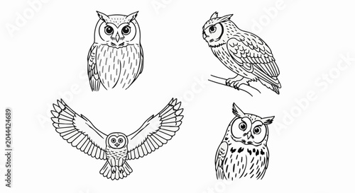 Four black and white illustrations of owls in different poses