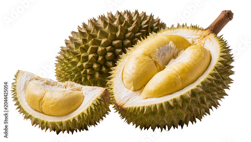 Spiky Durian Fruit Halved Showing Yellow Flesh and Seeds
