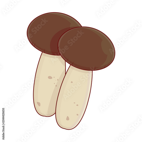 Two Porcini Mushroom illustration cartoon cute
