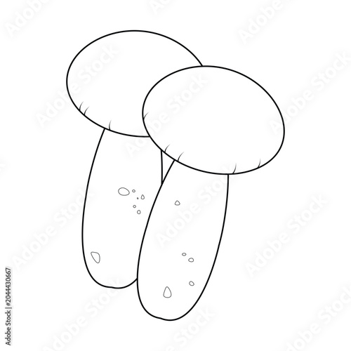 Line Two Porcini Mushroom illustration cartoon cute