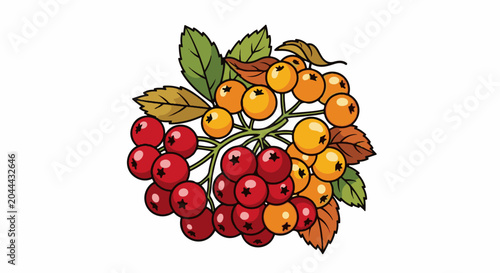 A bright illustration of clusters of red and orange berries with green and brown leaves