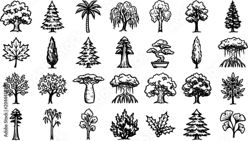 Cuadro en lienzo Nature and Botany Black and White Line Art Tree Icons Set