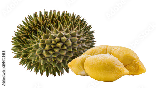 Schilderij op canvas Whole Durian Fruit and Yellow Flesh Segments