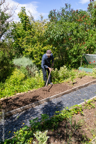 Jardinier en train d'ameublir une parcelle de terre avec un crochet dans un potager avant des plantations de légumes au printemps