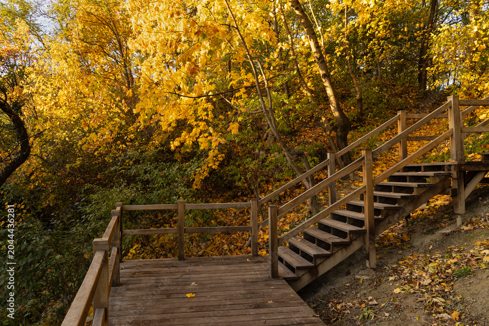 Fototapeta premium Wooden staircase ascends through vibrant golden autumn foliage in a forest