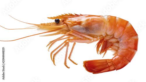 Photos Cooked orange shrimp with visible legs and antennae