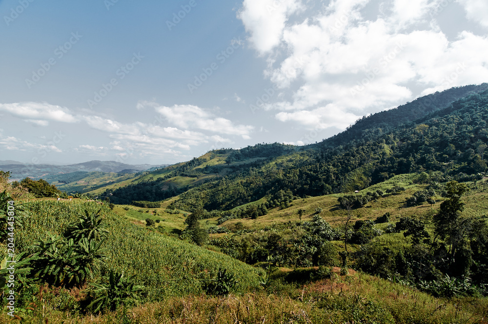 Fototapeta premium Green mountain valley with fields and forested hills under scattered clouds, panoramic rural landscape.