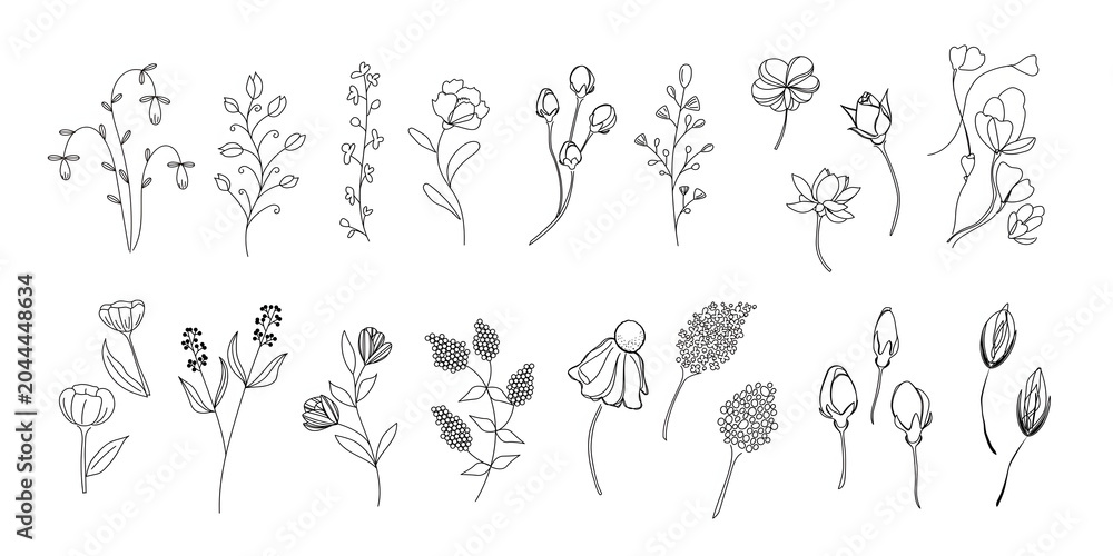 Obraz premium Delicate black and white floral branches illustration minimalist botanical line art