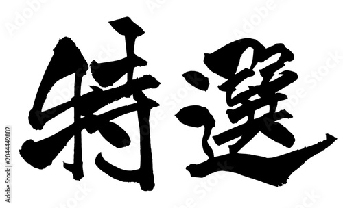 Canvastavla 特選 Selected Premium Japanese Calligraphy 筆文字 手書き 日本語 和風
