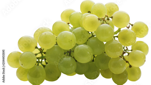 Fotografija Green seedless grapes on vine