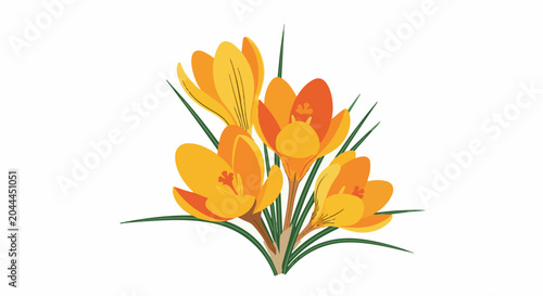 A vibrant bouquet of orange and yellow crocuses with green grass