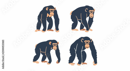 Four chimpanzees stand on a white background