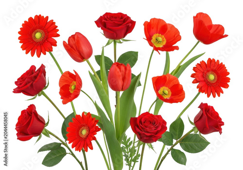 A vibrant bouquet of assorted red flowers including roses, tulips, gerbera daisies, and poppies arranged on a solid black background