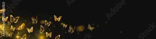 Bild auf Leinwand Golden butterflies with glitter sparkles, luxury vector black background