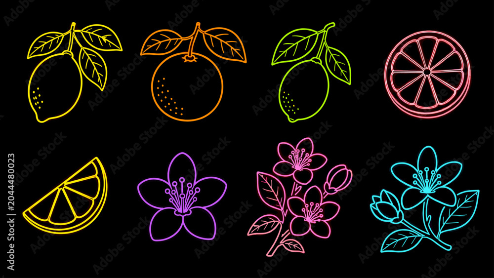 Fototapeta premium Neon citrus fruits and blossoms collection on black background